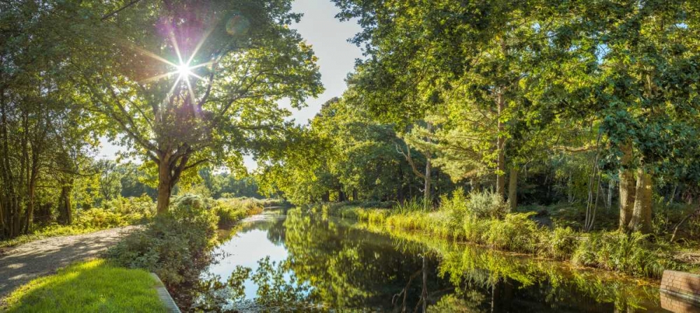 Basingstoke canal in countryside, UK art print by Assaf Frank for $57.95 CAD