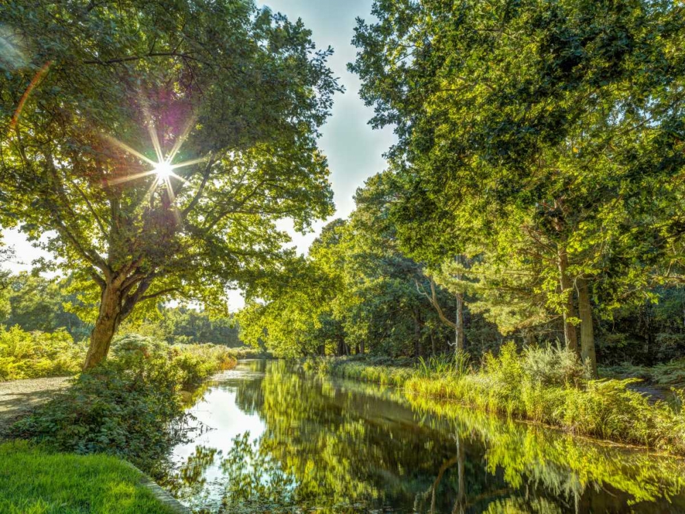 Basingstoke canal in countryside, UK art print by Assaf Frank for $57.95 CAD