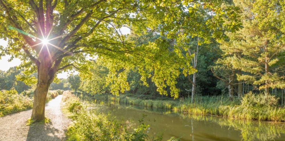 Basingstoke canal in countryside, UK art print by Assaf Frank for $57.95 CAD