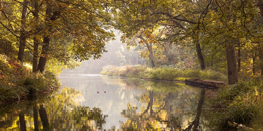 Basingstoke canal art print by Assaf Frank for $57.95 CAD