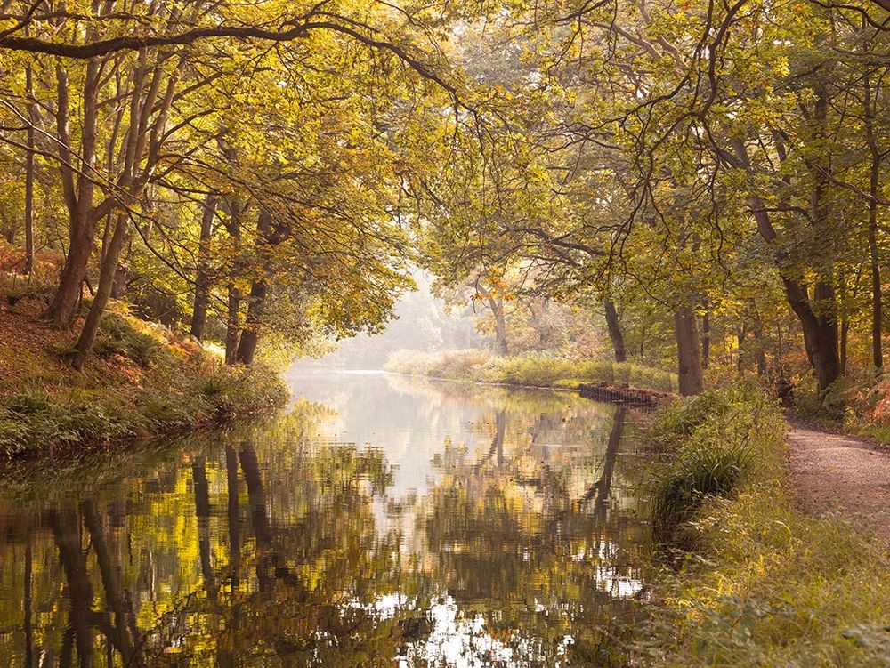 Basingstoke canal art print by Assaf Frank for $57.95 CAD