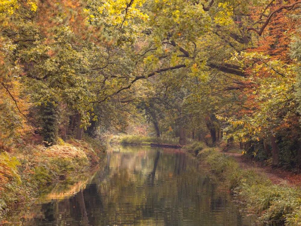 Basingstoke canal in countryside, UK, FTBR-1830 art print by Assaf Frank for $57.95 CAD