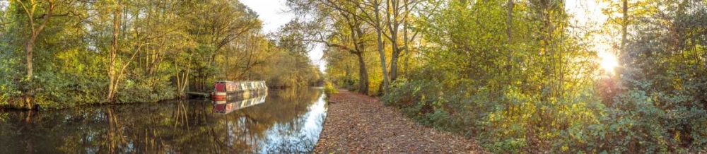 Small canal through forest art print by Assaf Frank for $57.95 CAD