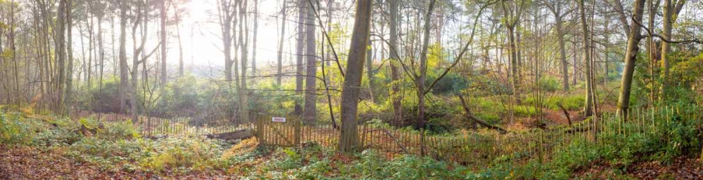 Canal through forest in countryside art print by Assaf Frank for $57.95 CAD