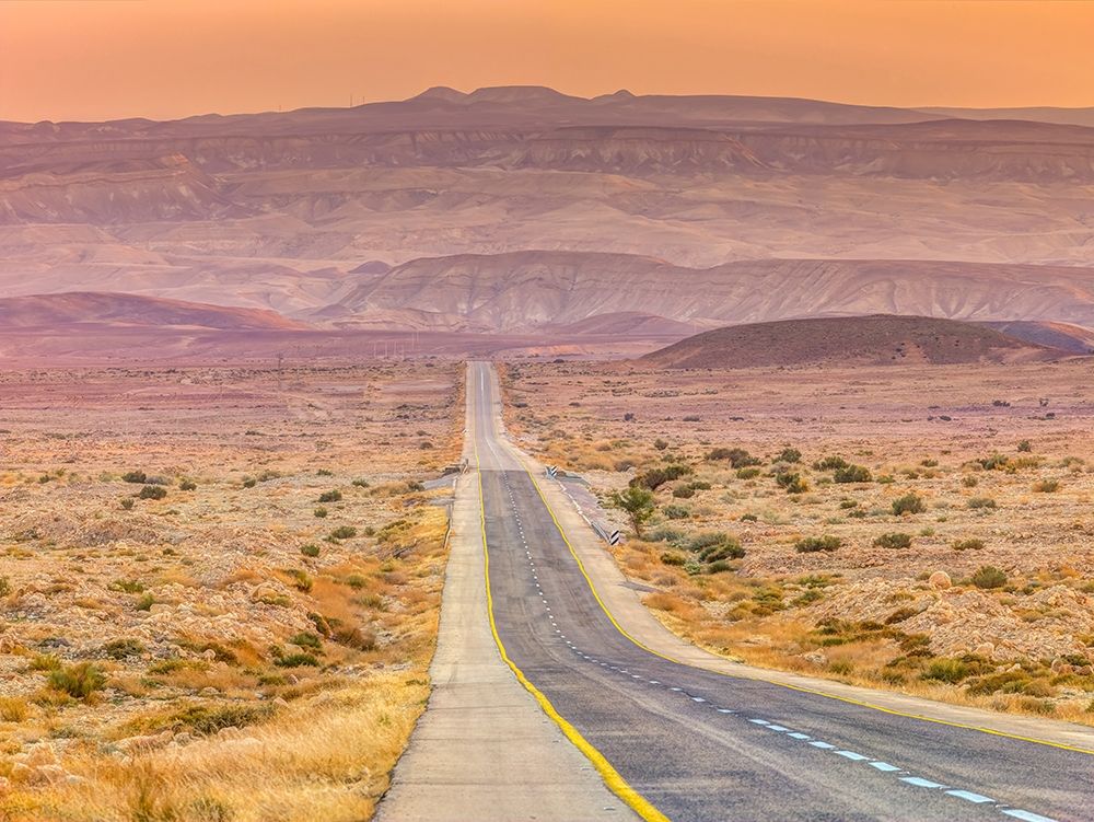 Highway through desert art print by Assaf Frank for $57.95 CAD