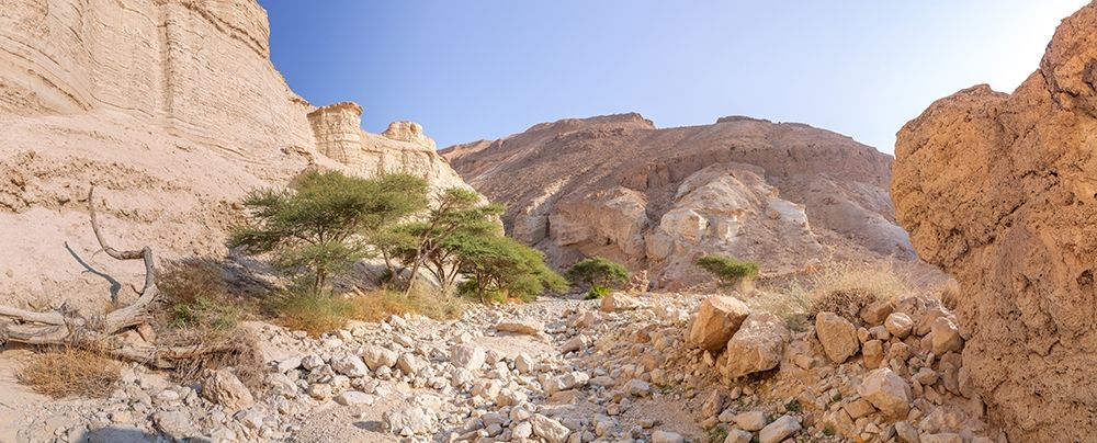 Negev Desert-Israel art print by Assaf Frank for $57.95 CAD