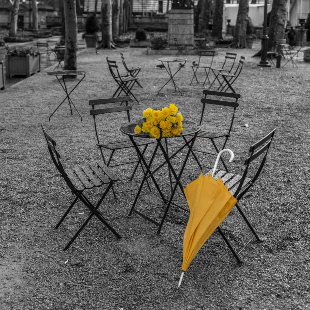 Bunch of roses and umbrella on table and chair at the park, New York art print by Assaf Frank for $57.95 CAD