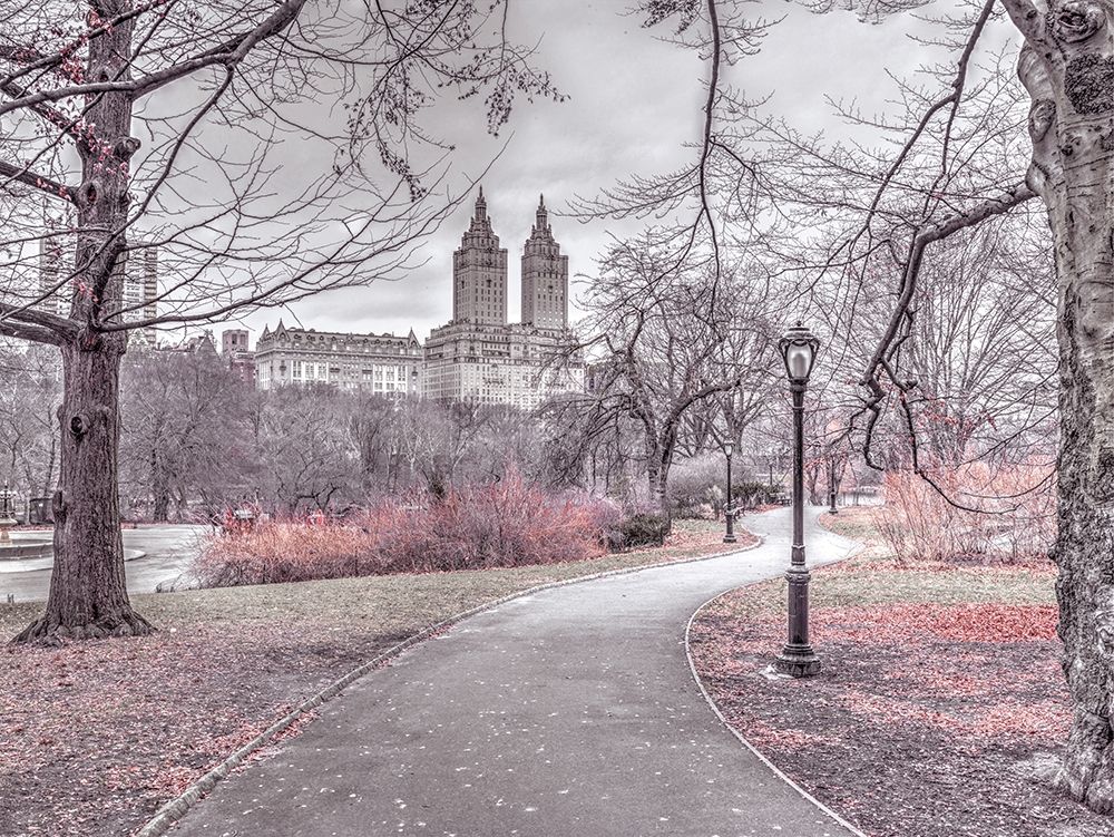 Pathway through Central park-New York art print by Assaf Frank for $57.95 CAD