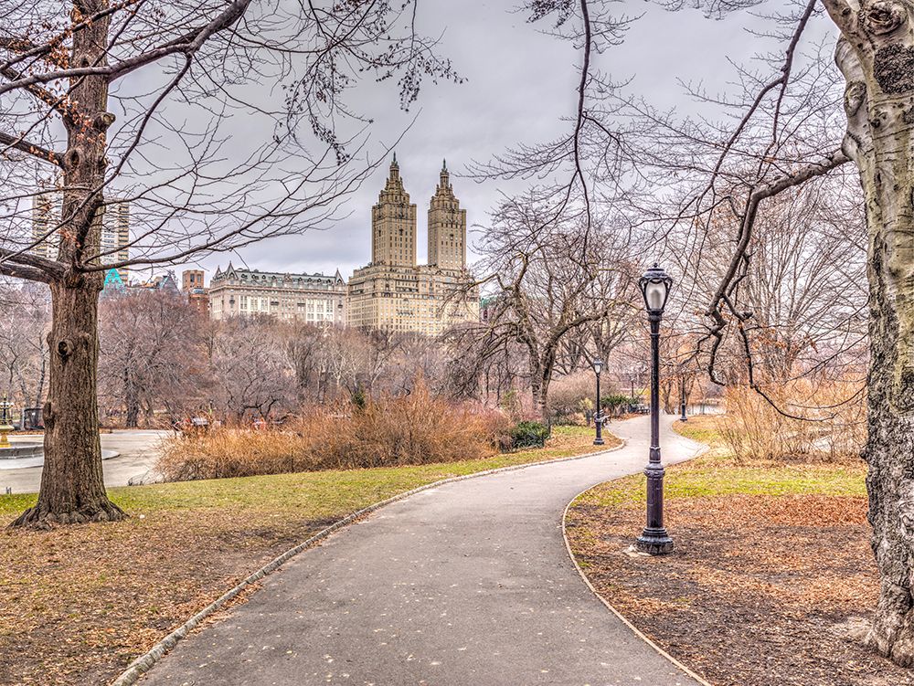 Pathway through Central park, New York art print by Assaf Frank for $57.95 CAD