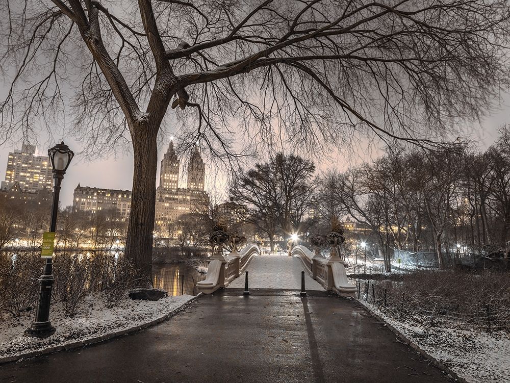 Evening view of Central park-New York art print by Assaf Frank for $57.95 CAD