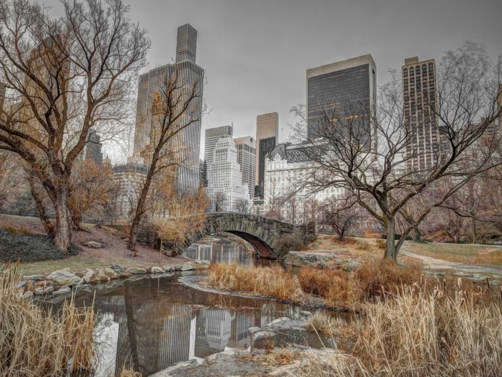 Central park and Manhattan skyline, New York art print by Assaf Frank for $57.95 CAD