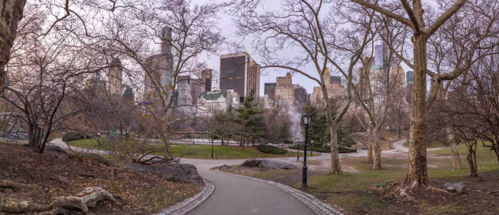 Pathway through Central park, New York art print by Assaf Frank for $57.95 CAD