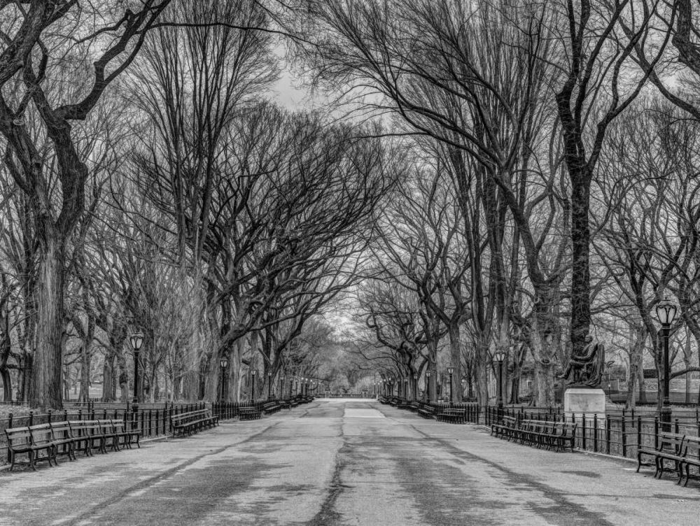 Pathway through Central park, New York art print by Assaf Frank for $57.95 CAD