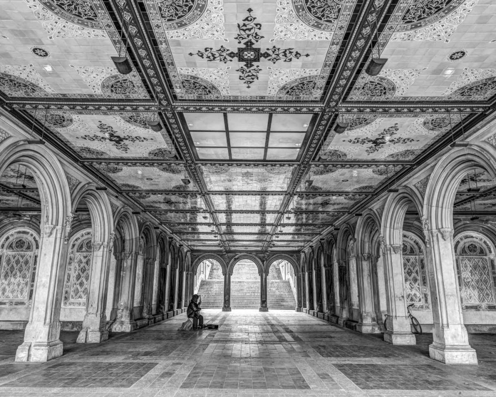 Bethesda Terrace in Central park, New York art print by Assaf Frank for $57.95 CAD