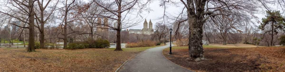Pathway through Central park, New York art print by Assaf Frank for $57.95 CAD