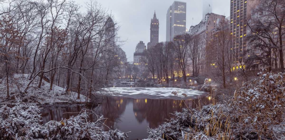 Central park with Manhattan skyline, New York art print by Assaf Frank for $57.95 CAD