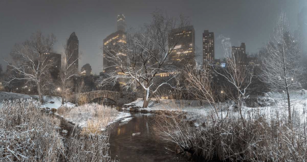 Central park with Manhattan skyline, New York art print by Assaf Frank for $57.95 CAD