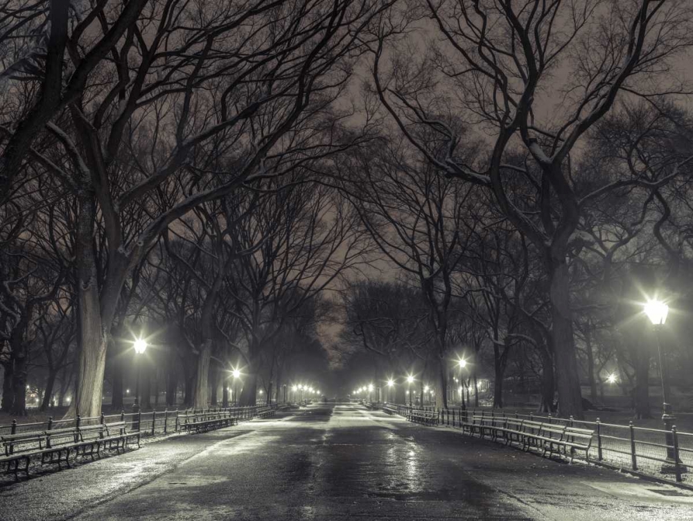 Central park with Manhattan skyline, New York art print by Assaf Frank for $57.95 CAD