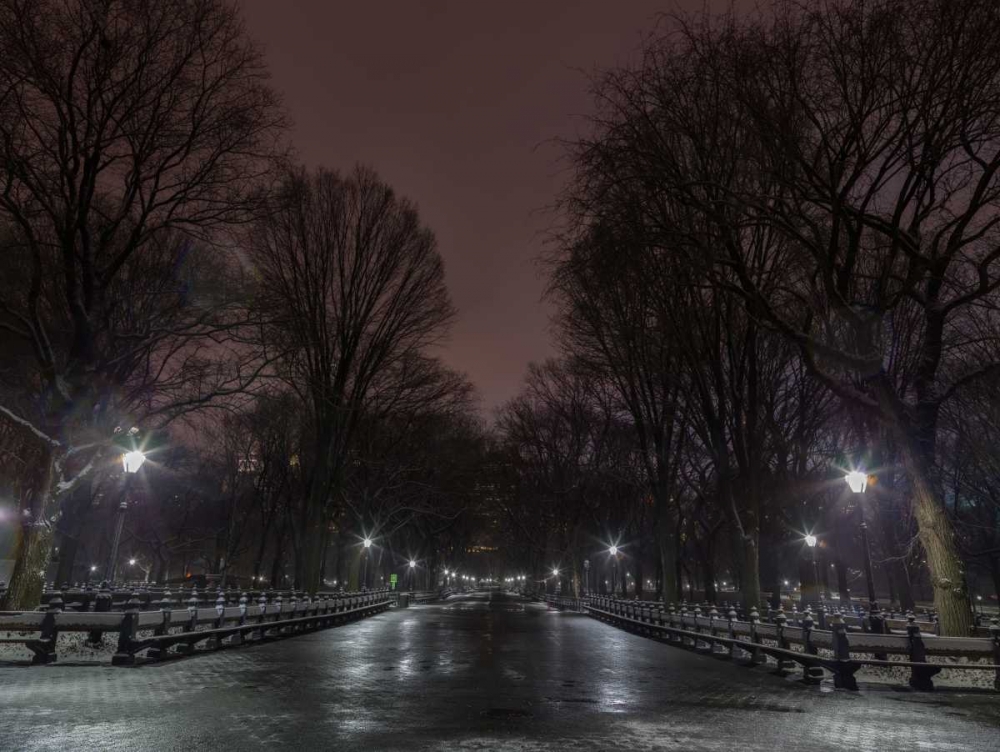 Central park at night, New York art print by Assaf Frank for $57.95 CAD