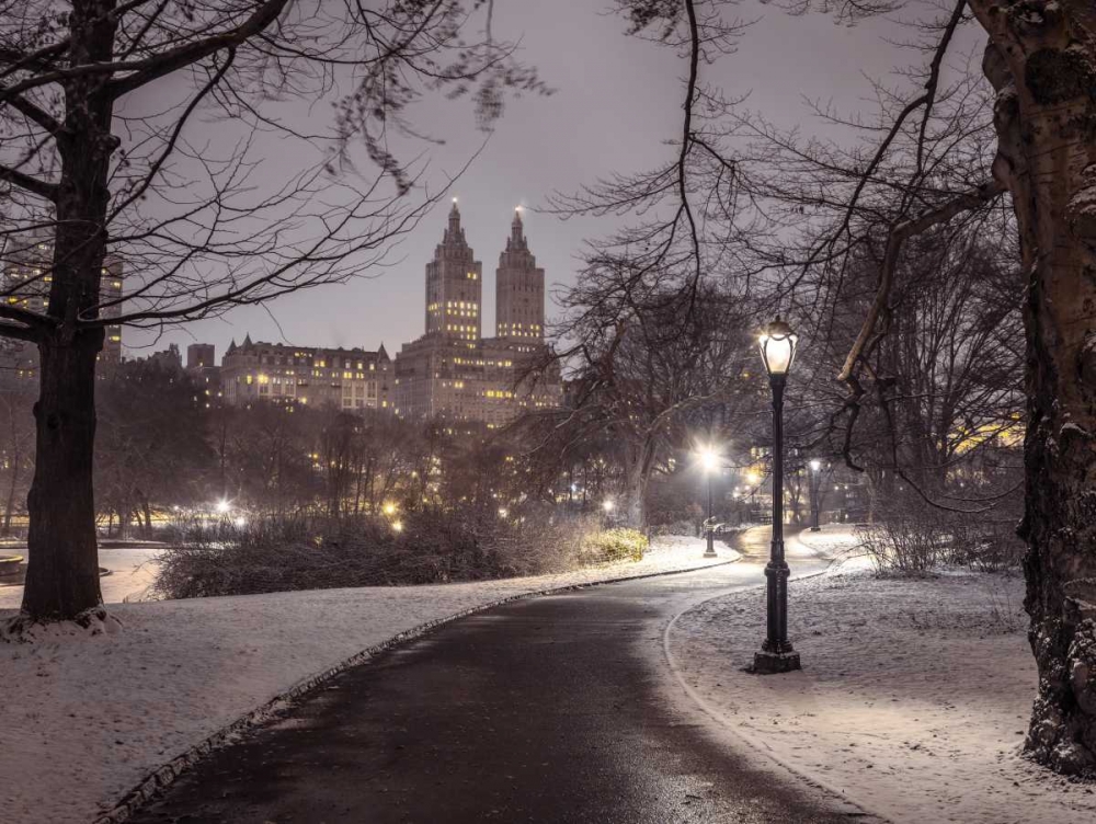 Central park with Manhattan skyline, New York art print by Assaf Frank for $57.95 CAD