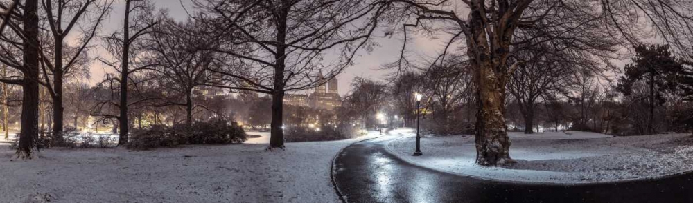 Central park with Manhattan skyline, New York art print by Assaf Frank for $57.95 CAD