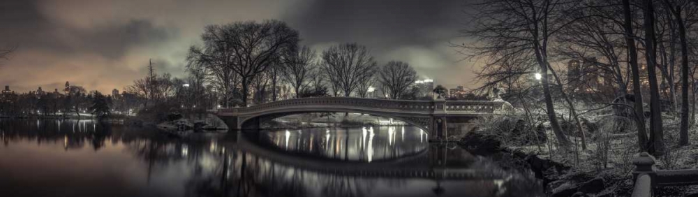 Central park with Manhattan skyline, New York art print by Assaf Frank for $57.95 CAD