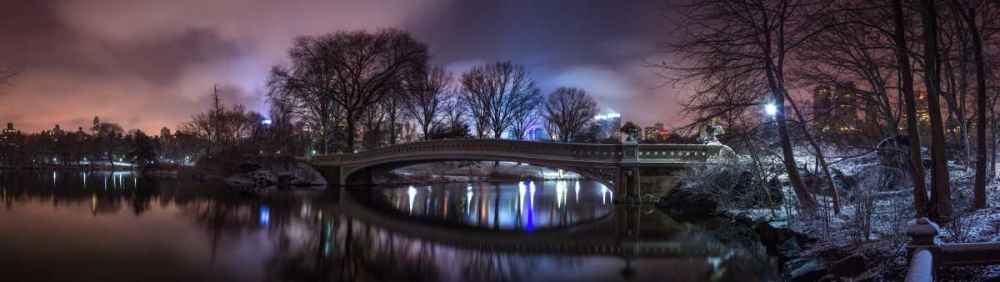 Central park with Manhattan skyline, New York art print by Assaf Frank for $57.95 CAD
