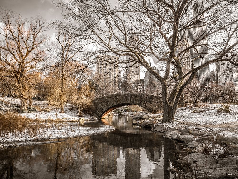 Central park in New York art print by Assaf Frank for $57.95 CAD