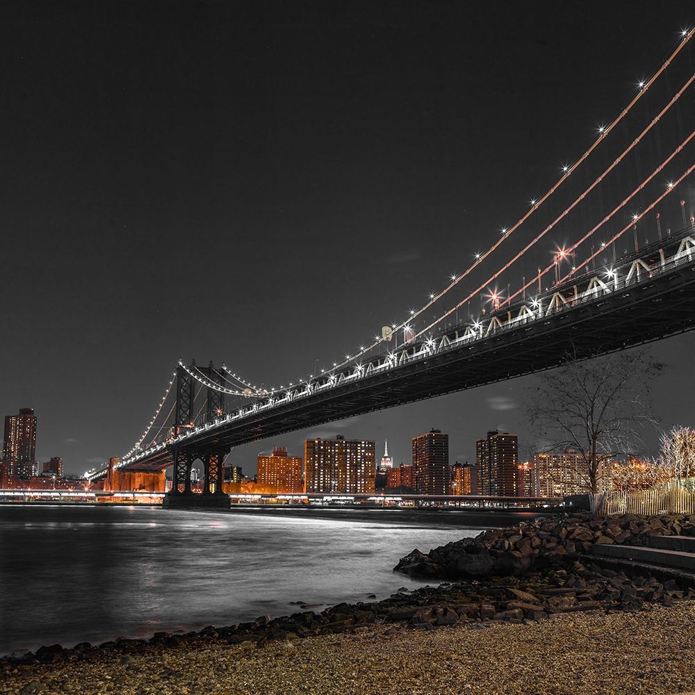Manhattan bridge and Lower Manhattan skyline, New York, FTBR-1838 art print by Assaf Frank for $57.95 CAD