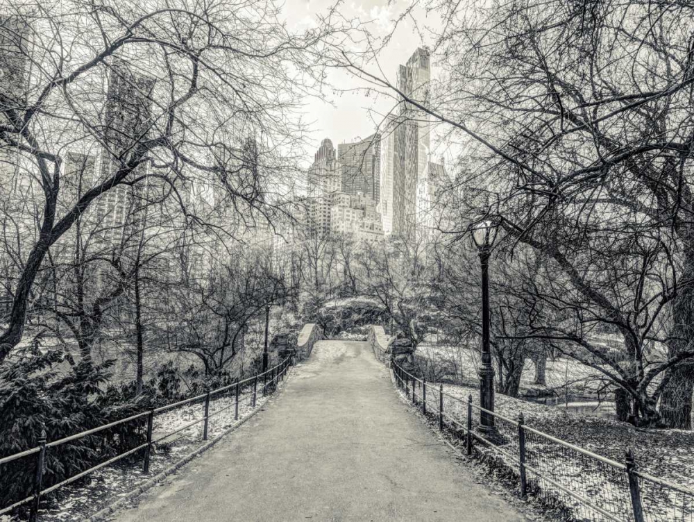 Pathway through Central park, New York art print by Assaf Frank for $57.95 CAD