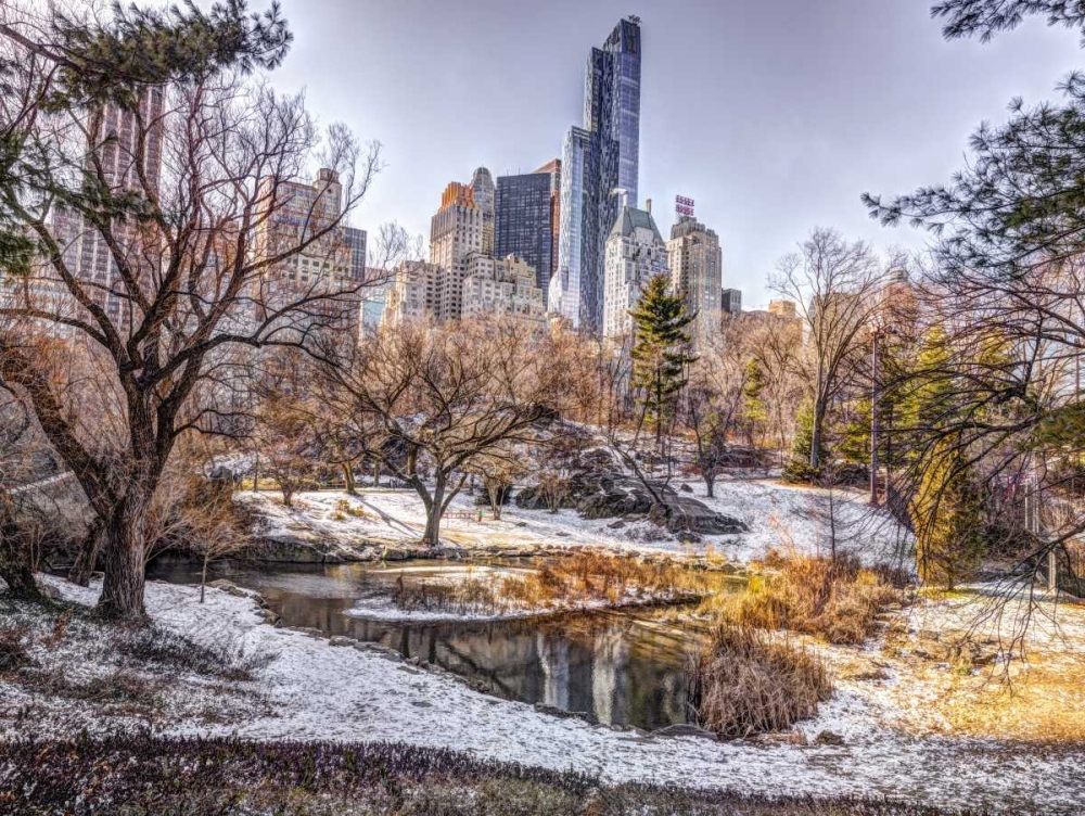 Central park with Lower Manhattan skyline, New York art print by Assaf Frank for $57.95 CAD