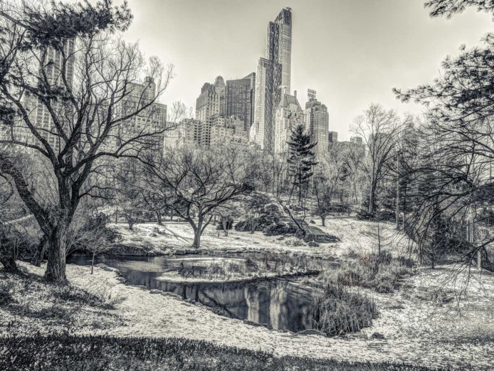 Central park with Lower Manhattan skyline, New York art print by Assaf Frank for $57.95 CAD
