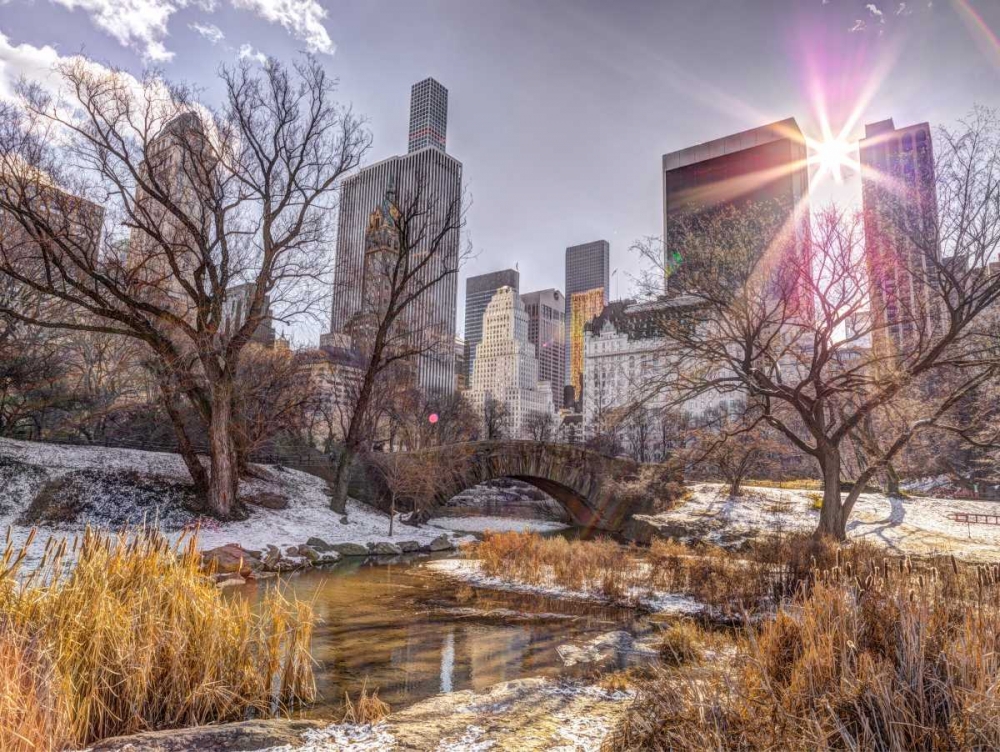 Central park with Lower Manhattan skyline, New York art print by Assaf Frank for $57.95 CAD