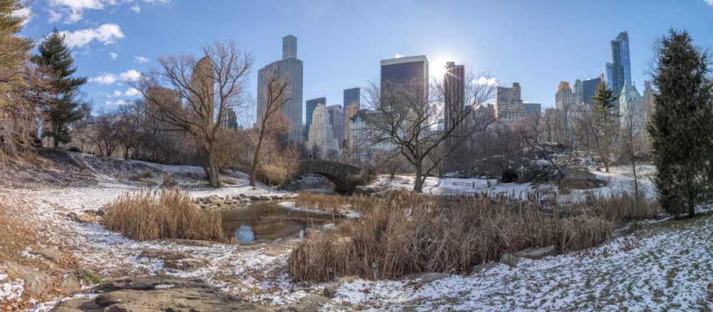 Central park with Lower Manhattan skyline, New York art print by Assaf Frank for $57.95 CAD