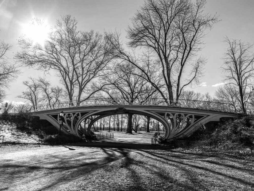 Walkway bridge in Central park, New York, FTBR-1920 art print by Assaf Frank for $57.95 CAD