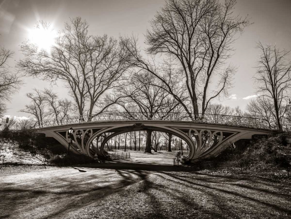 Walkway bridge in Central park, New York, FTBR-1921 art print by Assaf Frank for $57.95 CAD