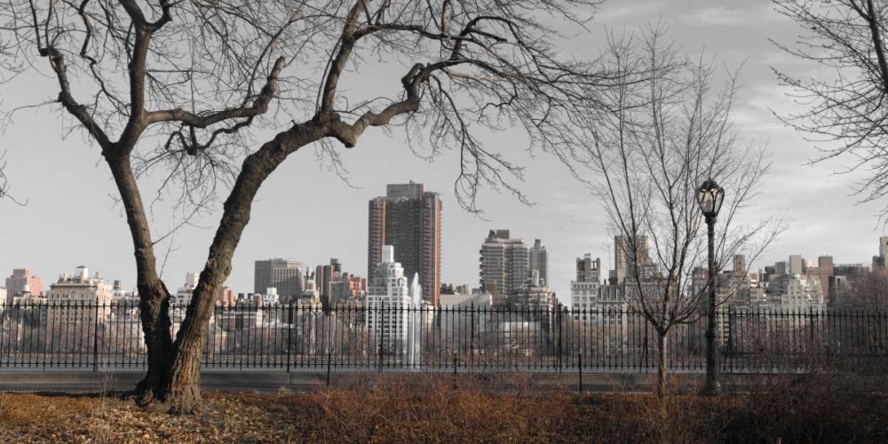 Lower Manhattan cityscape from Central park, New York art print by Assaf Frank for $57.95 CAD