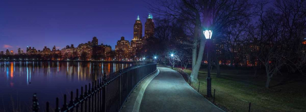 Central park in evening, New York art print by Assaf Frank for $57.95 CAD