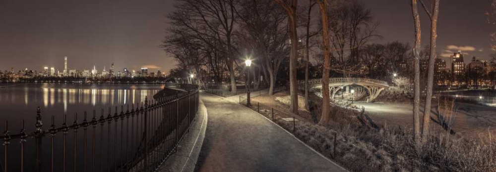 Central park in evening, New York art print by Assaf Frank for $57.95 CAD