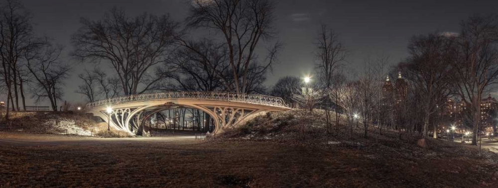 Central park in evening, New York art print by Assaf Frank for $57.95 CAD