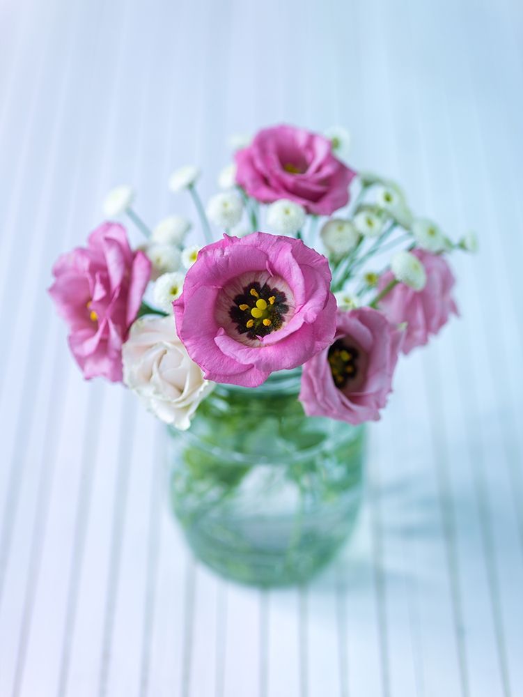Colorful Lisianthus flowers in glass bottle art print by Assaf Frank for $57.95 CAD