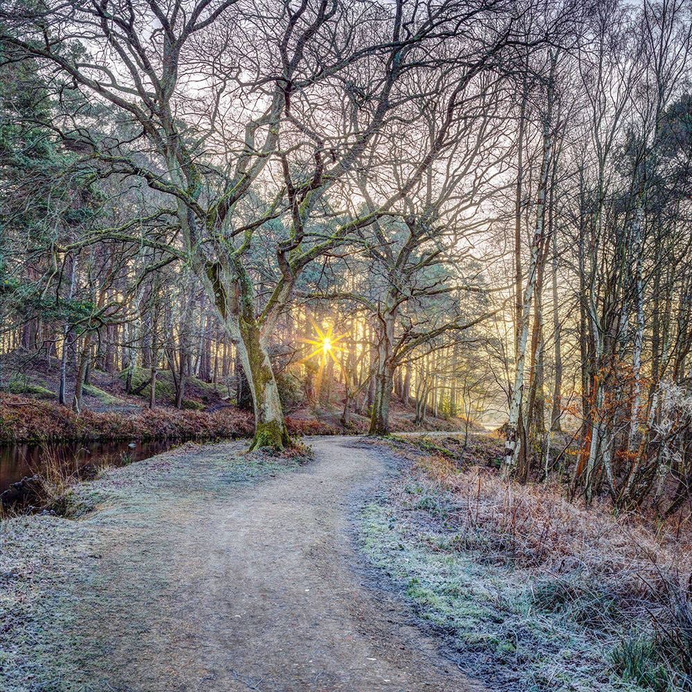 Canal in countryside with trees and pathway art print by Assaf Frank for $57.95 CAD