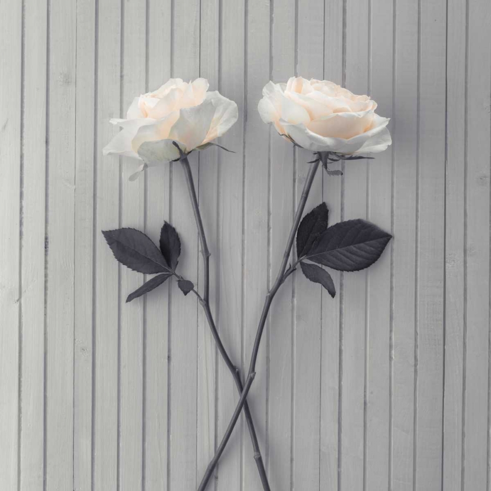 Roses on table art print by Assaf Frank for $57.95 CAD