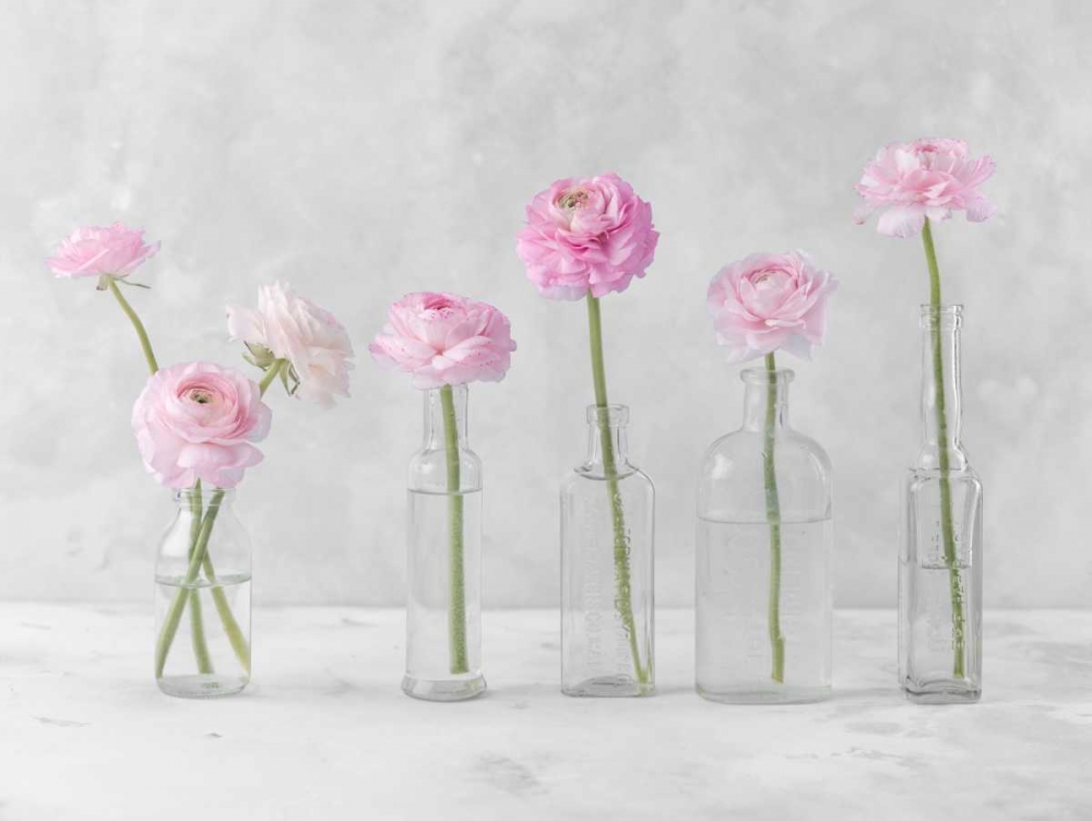Tulips and Daffodils in glass bottles art print by Assaf Frank for $57.95 CAD