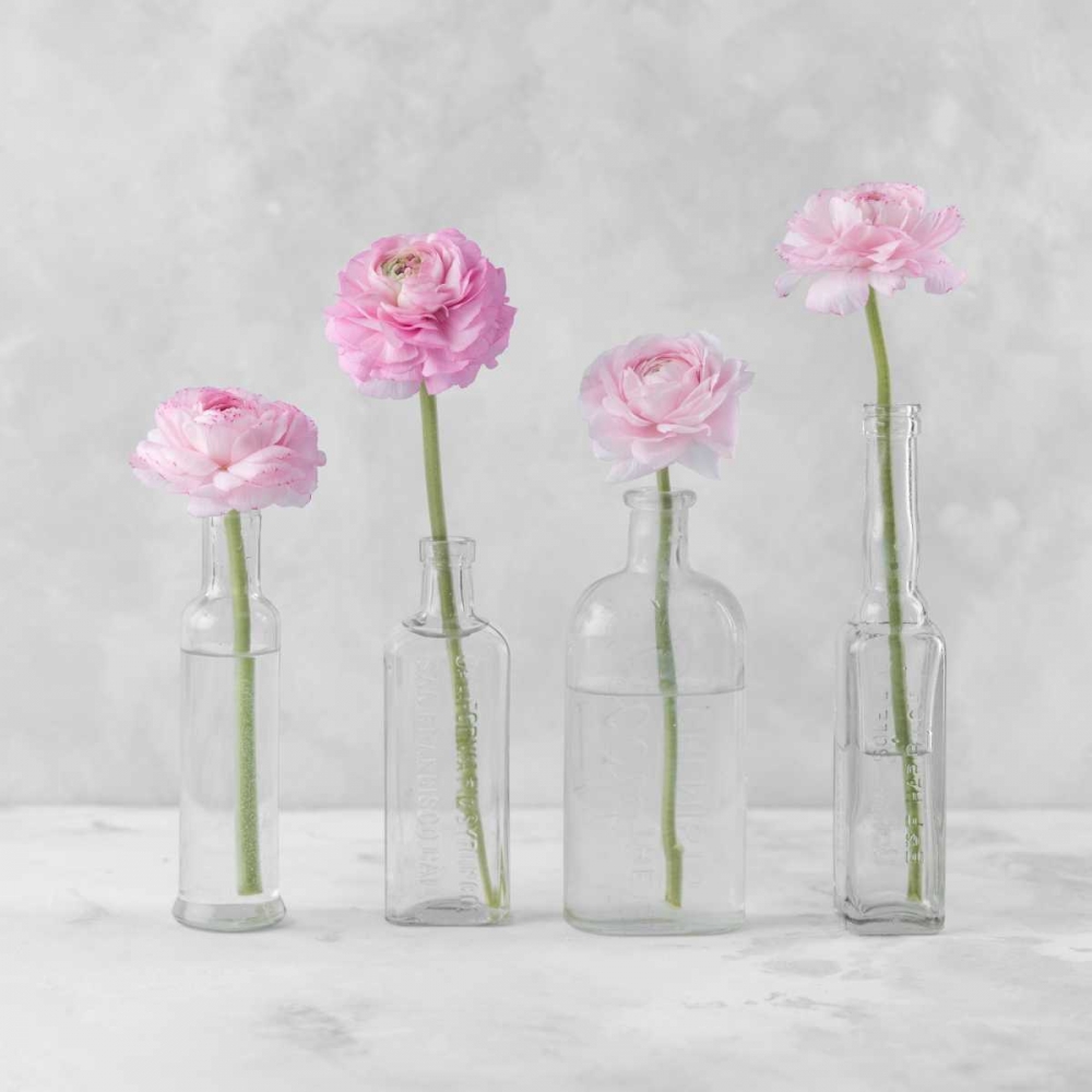 Tulips in glass bottles art print by Assaf Frank for $57.95 CAD
