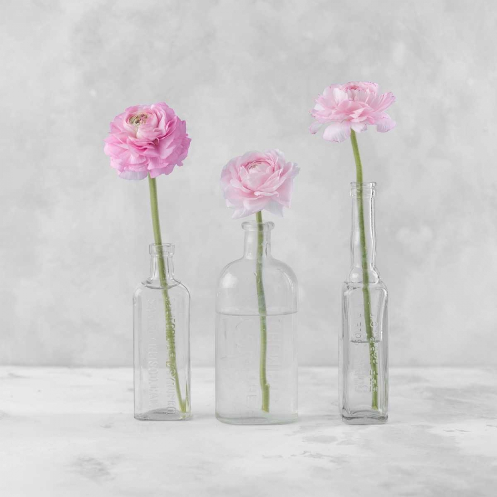 Tulips in glass bottles art print by Assaf Frank for $57.95 CAD