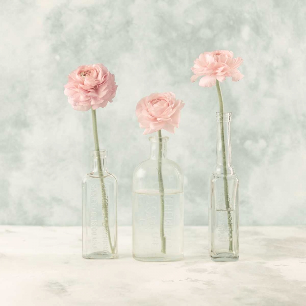 Ranuncuclus flowers in glass bottles art print by Assaf Frank for $57.95 CAD