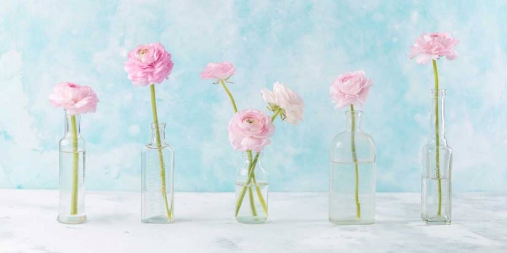Ranuncuclus flowers in glass bottles art print by Assaf Frank for $57.95 CAD