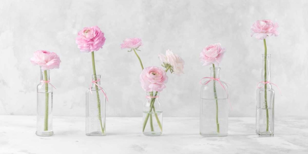 Ranuncuclus flowers in glass bottles art print by Assaf Frank for $57.95 CAD
