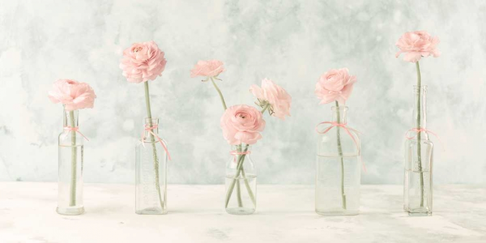 Ranuncuclus flowers in glass bottles art print by Assaf Frank for $57.95 CAD